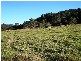 Hannam Vale NSW 2443