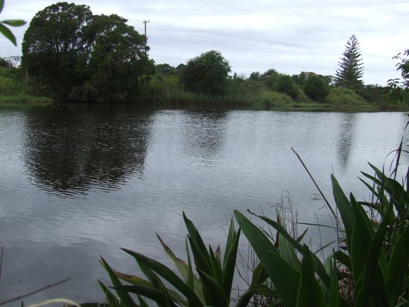 Belmore River NSW 2440