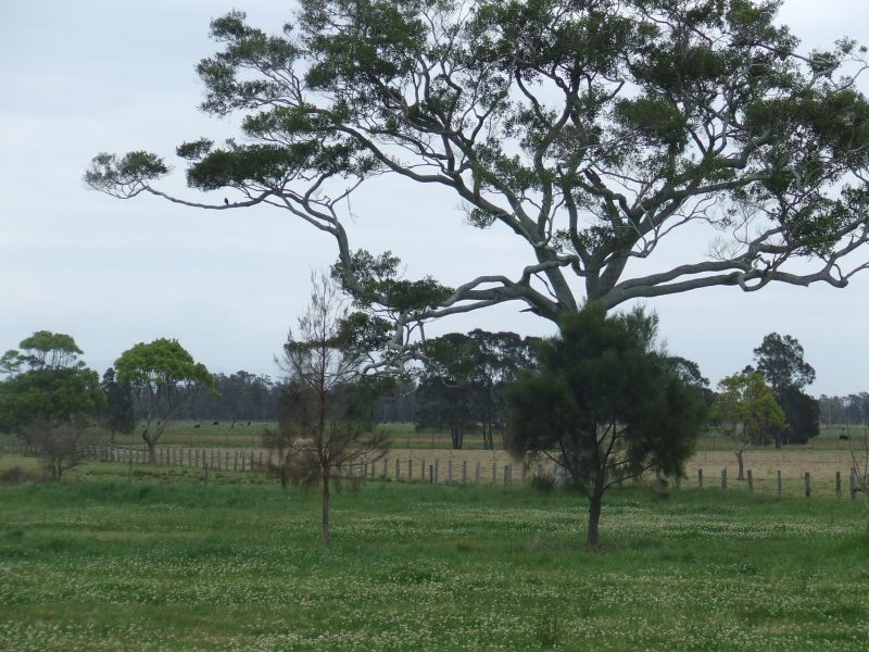Belmore River NSW 2440