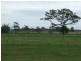 Belmore River NSW 2440