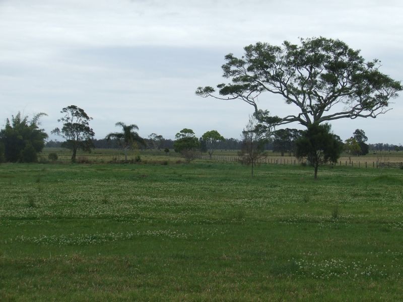 Belmore River NSW 2440