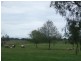 Belmore River NSW 2440