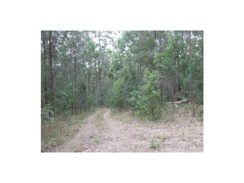 Telegraph Point NSW 2441