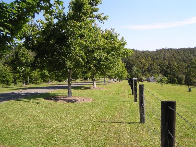 Hannam Vale NSW 2443