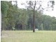 Collombatti NSW 2440