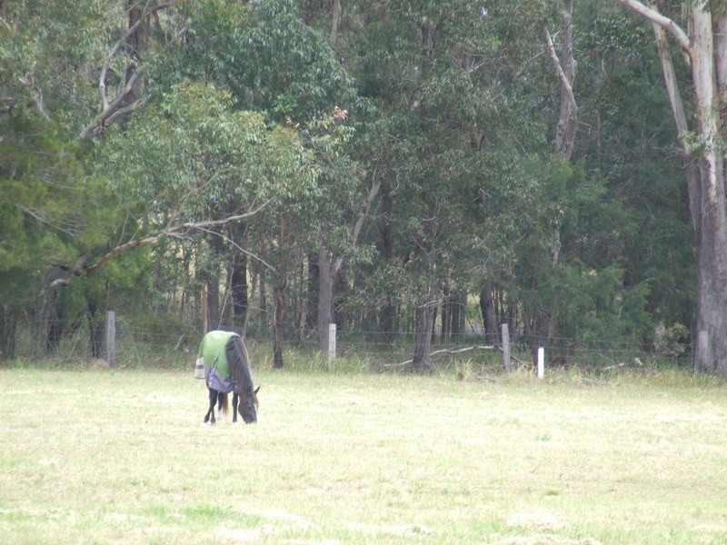 Collombatti NSW 2440