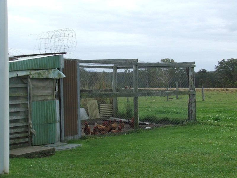Collombatti NSW 2440