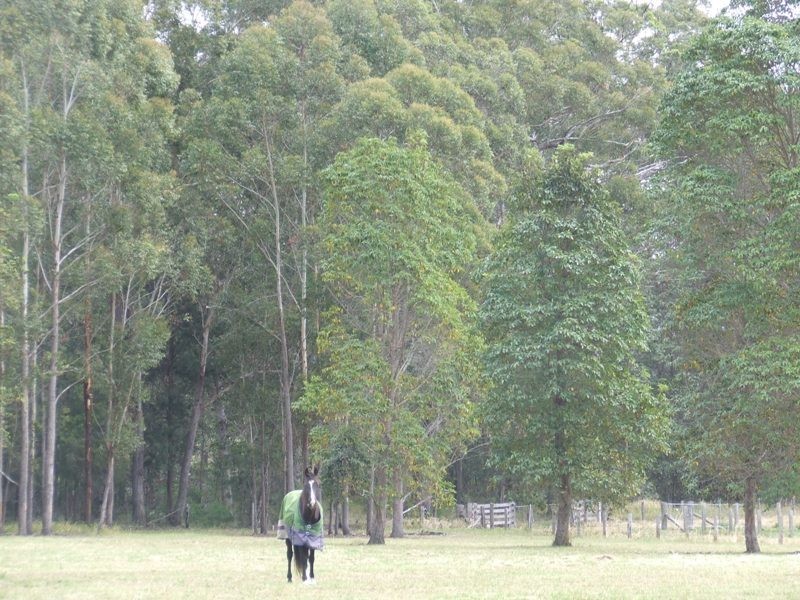 Collombatti NSW 2440