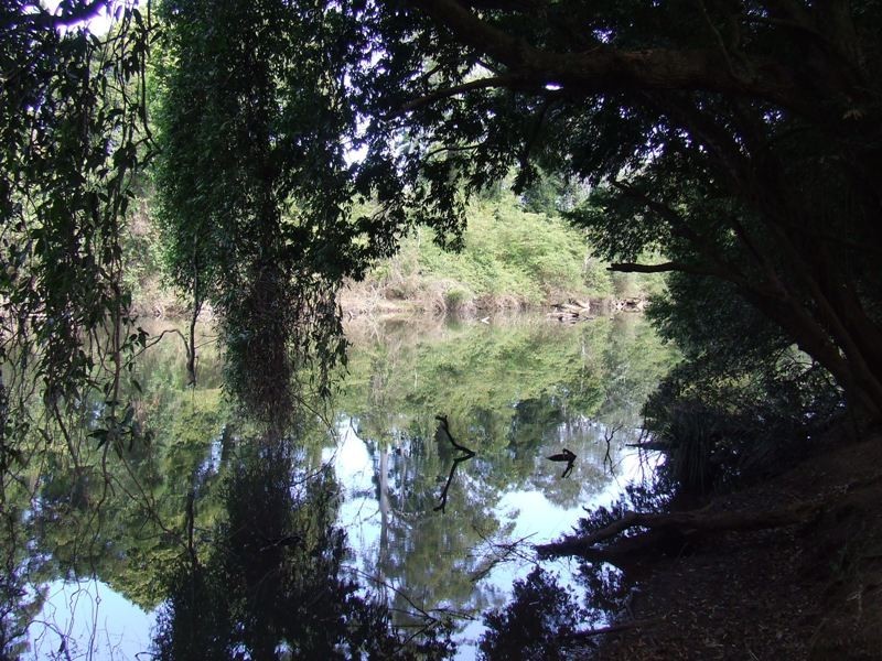 Logans Crossing NSW 2439