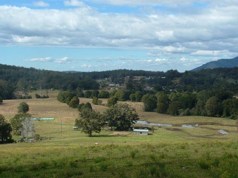 Logans Crossing NSW 2439