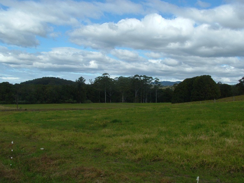 Logans Crossing NSW 2439