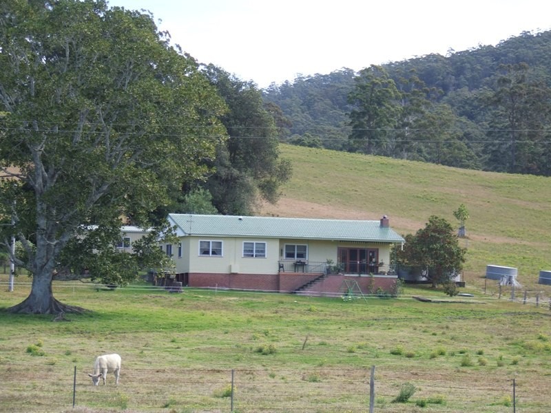 Logans Crossing NSW 2439