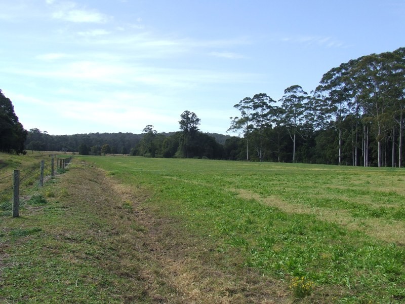 Logans Crossing NSW 2439