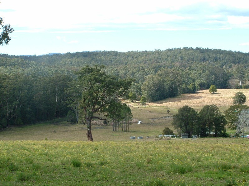 Logans Crossing NSW 2439