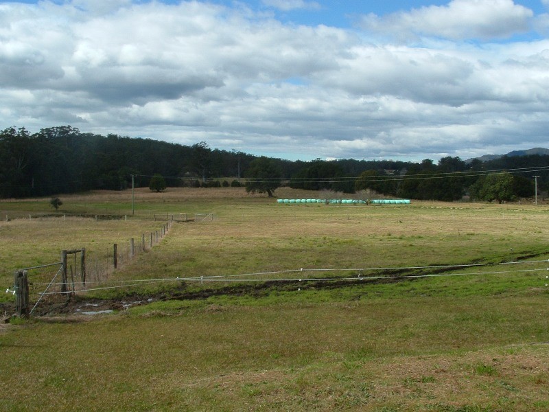 Logans Crossing NSW 2439