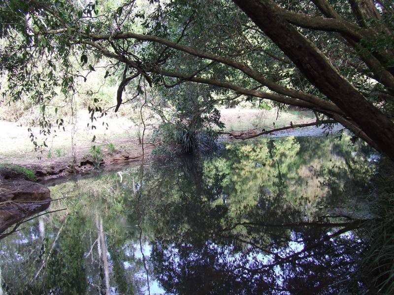 Logans Crossing NSW 2439