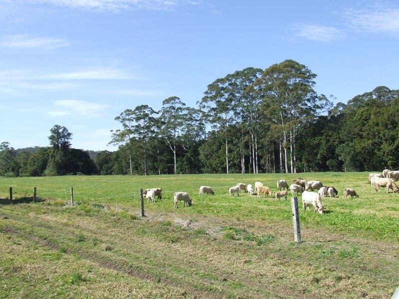 Logans Crossing NSW 2439