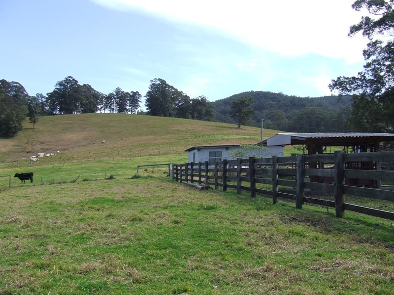 Logans Crossing NSW 2439