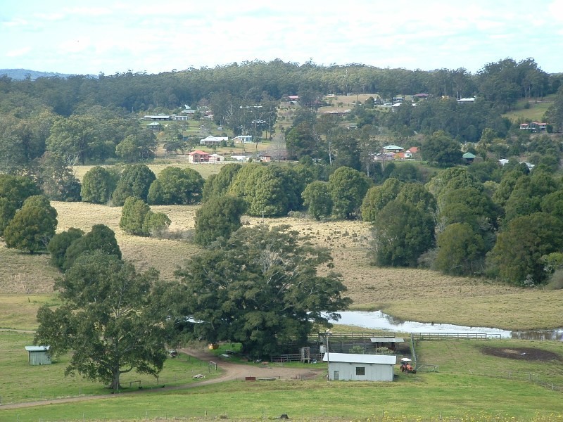 Logans Crossing NSW 2439