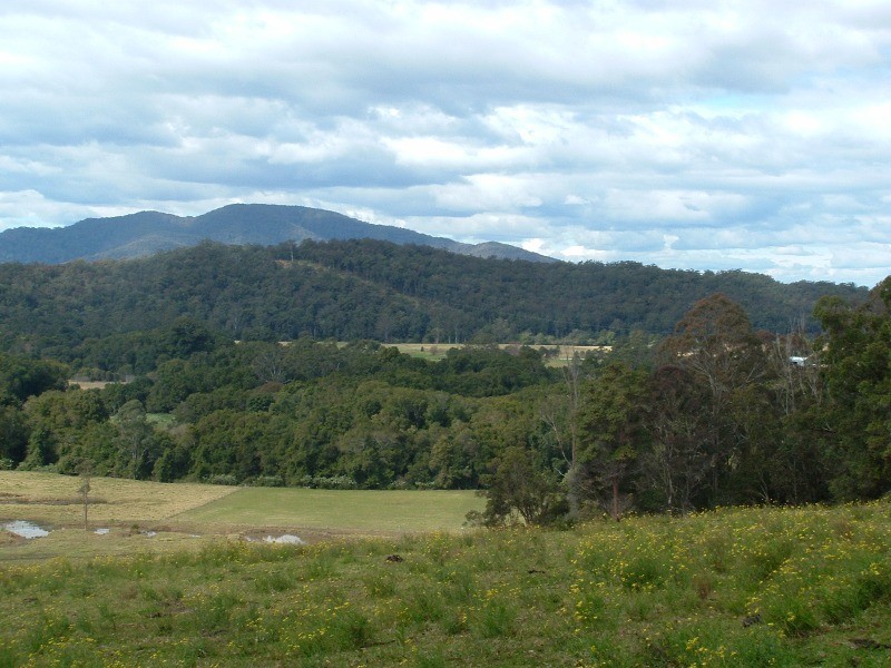 Logans Crossing NSW 2439