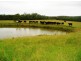 Lake Innes NSW 2446