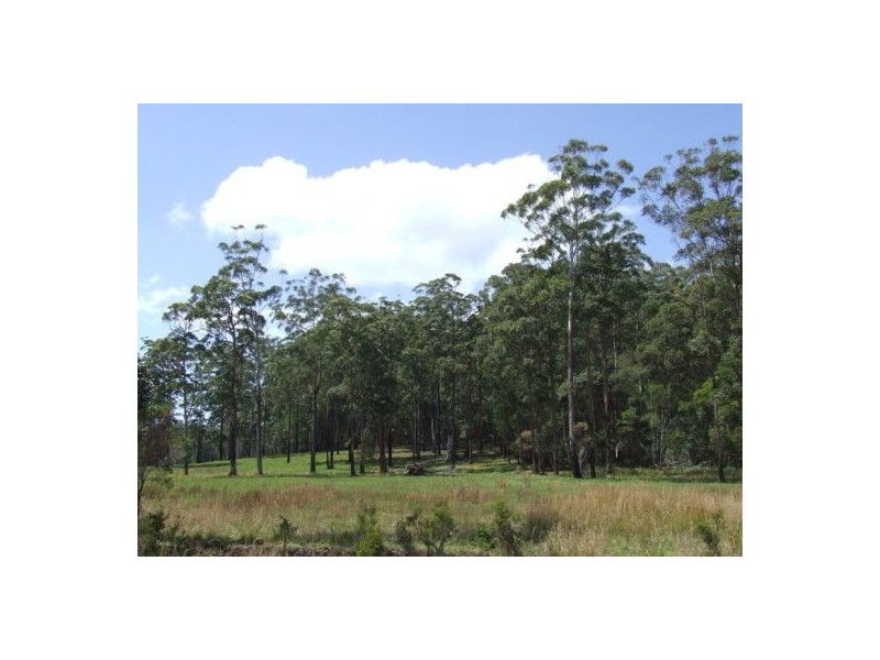 Lake Innes NSW 2446
