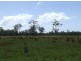 Lake Innes NSW 2446