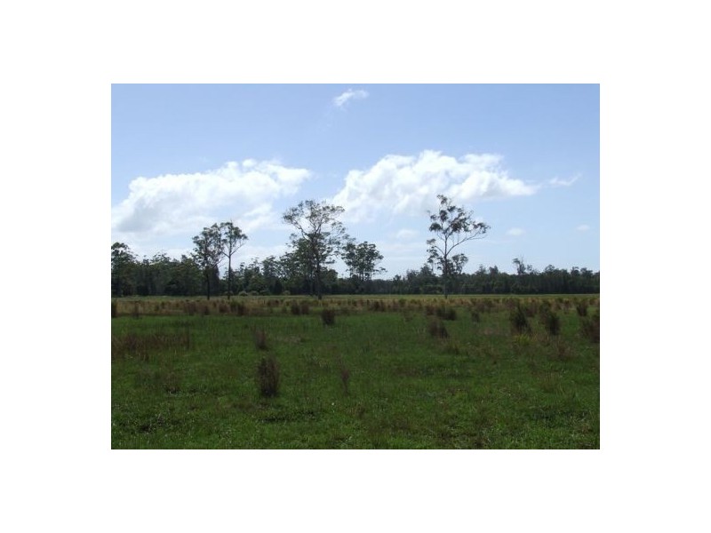 Lake Innes NSW 2446