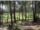 Lake Innes NSW 2446