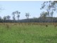 Lake Innes NSW 2446