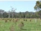 Lake Innes NSW 2446