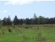 Lake Innes NSW 2446