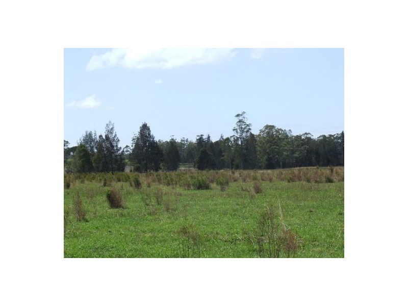 Lake Innes NSW 2446