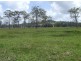 Lake Innes NSW 2446