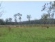 Lake Innes NSW 2446