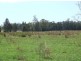 Lake Innes NSW 2446