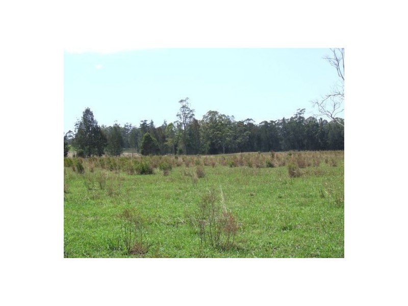 Lake Innes NSW 2446