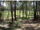 Lake Innes NSW 2446