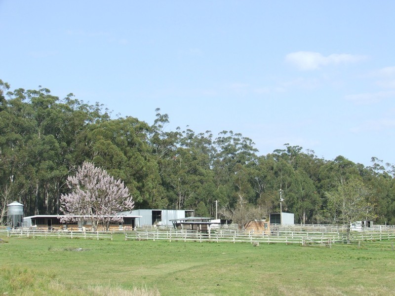 Telegraph Point NSW 2441