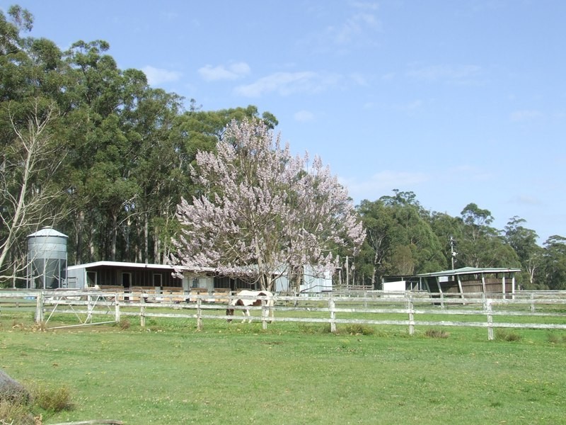 Telegraph Point NSW 2441