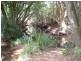 Waitui NSW 2443