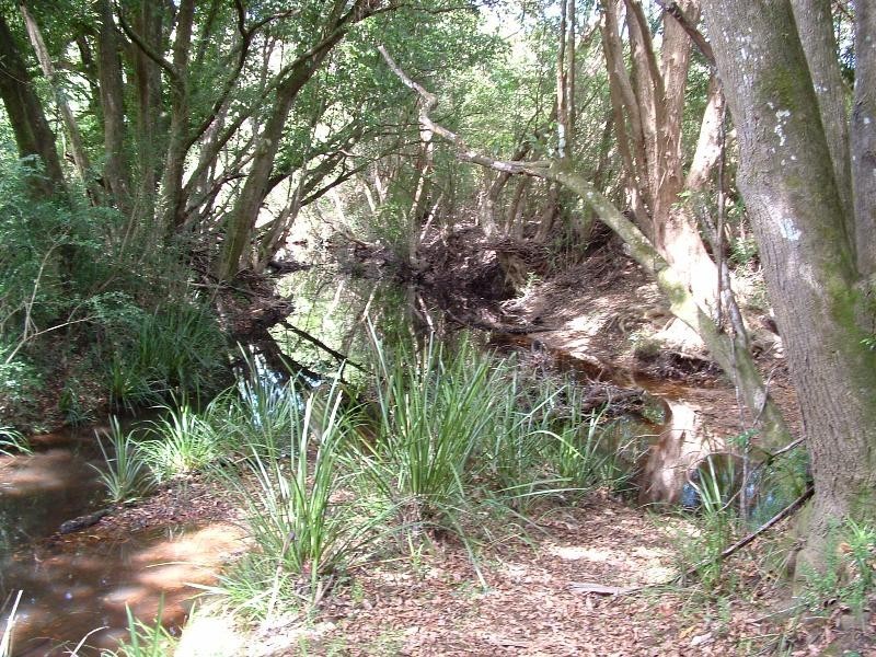 Waitui NSW 2443