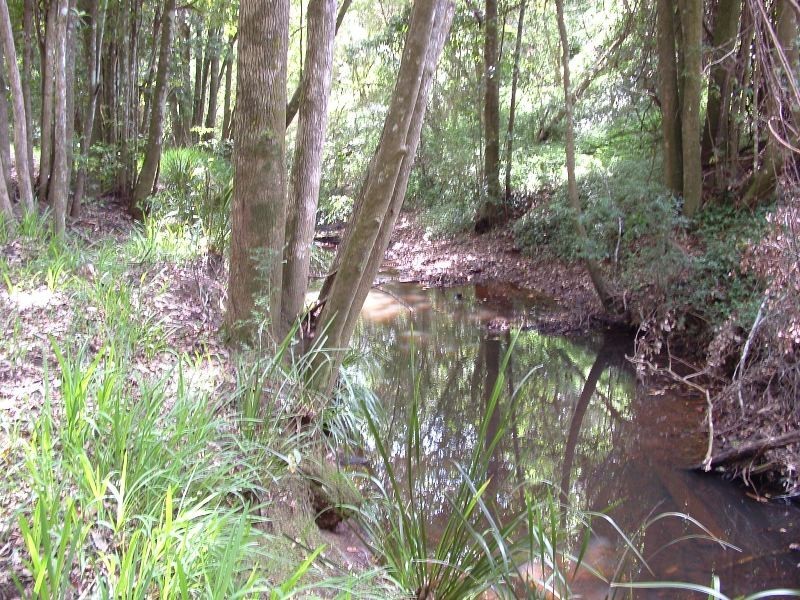 Waitui NSW 2443