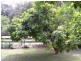 Waitui NSW 2443
