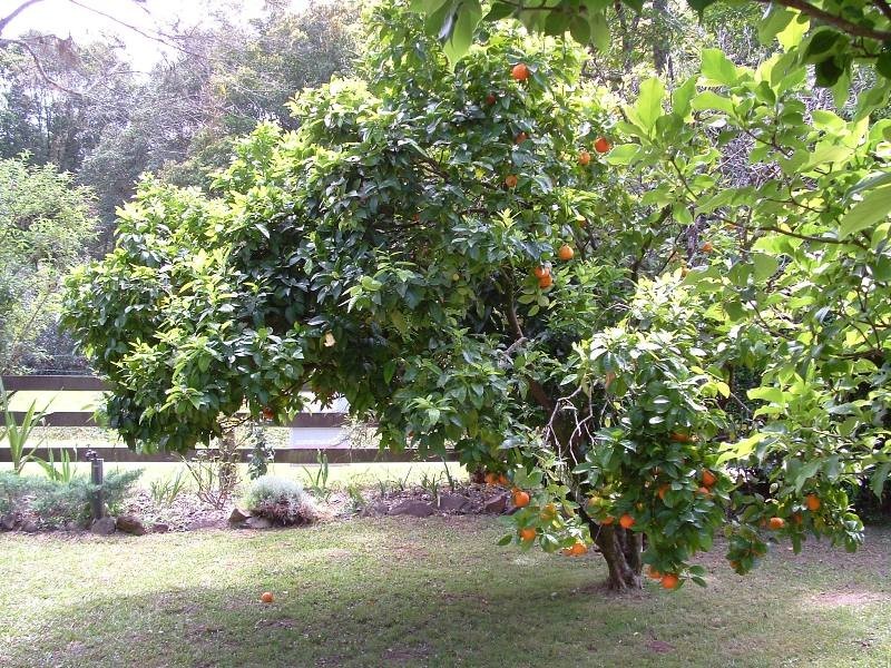 Waitui NSW 2443