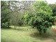 Waitui NSW 2443
