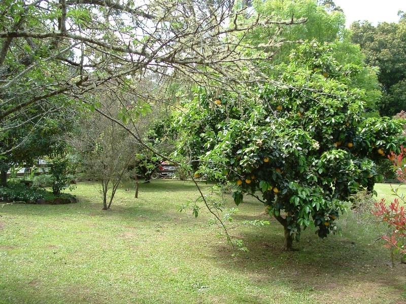 Waitui NSW 2443