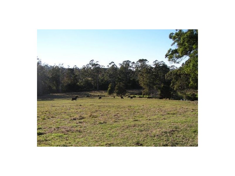 Beechwood NSW 2446