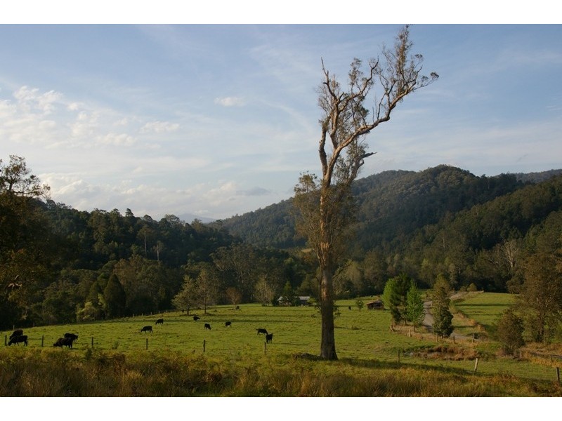 Pappinbarra NSW 2446