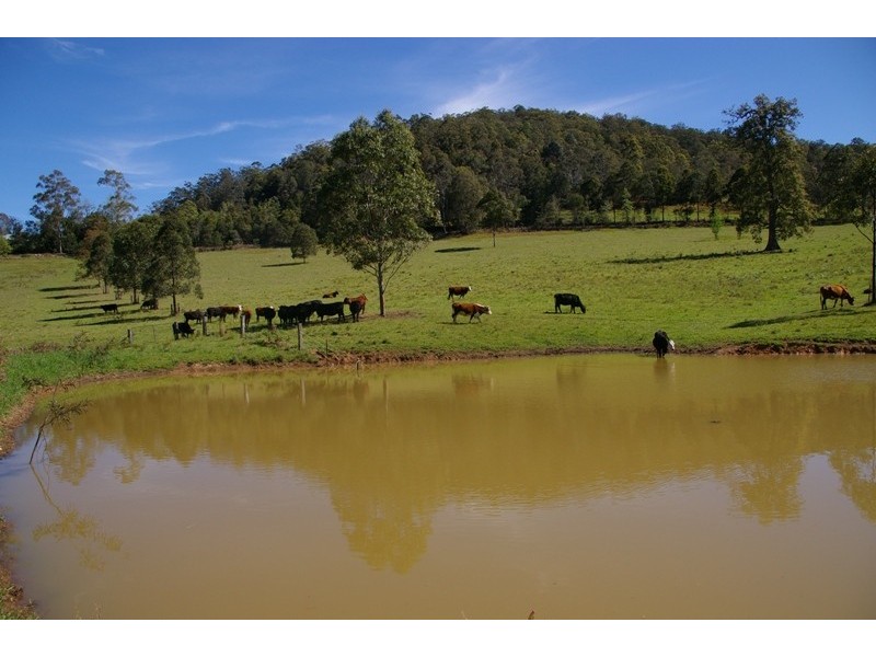 Pappinbarra NSW 2446